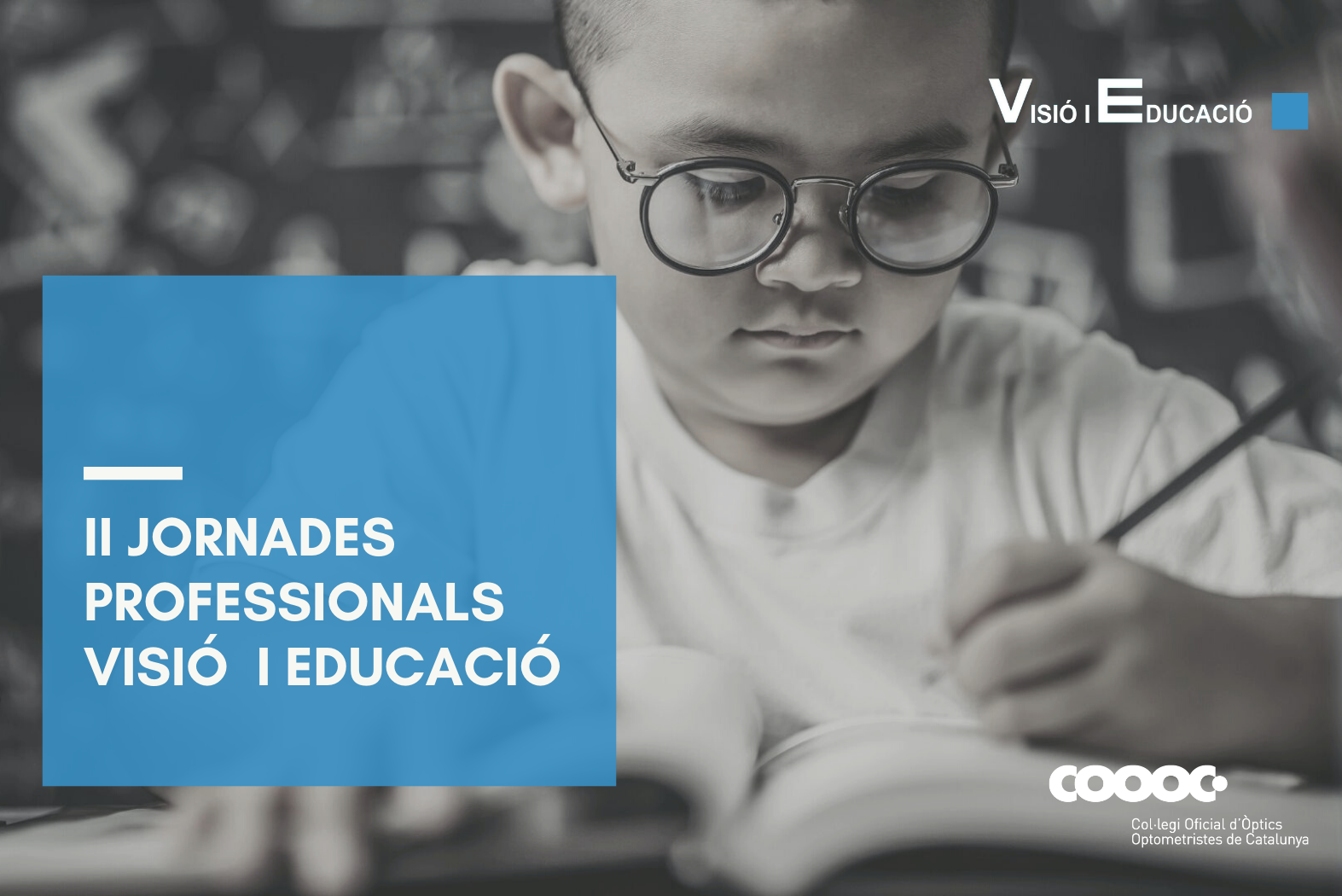 Presentem les II Jornades Professionals en Visió i Educació